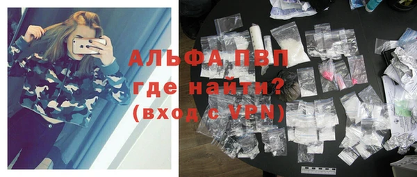 стаф Сафоново