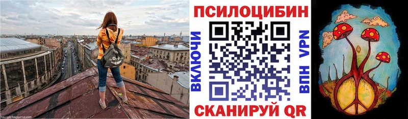 купить   Лянтор  Галлюциногенные грибы GOLDEN TEACHER 